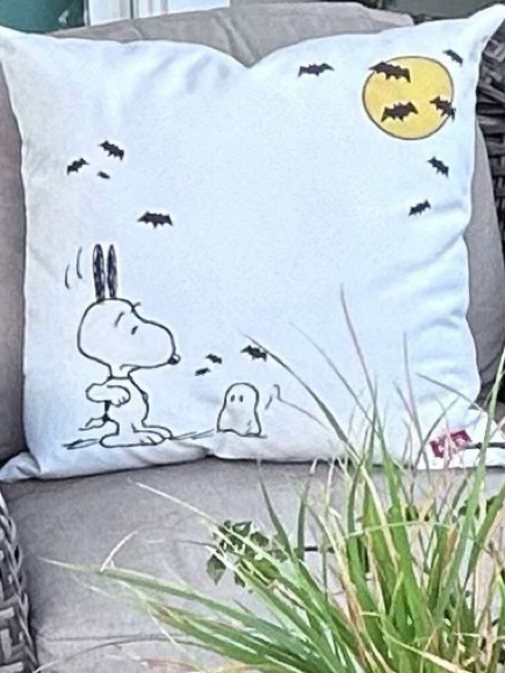 Pottery Barn Peanuts Snoopy Pillows Ghost Bats Set of 2